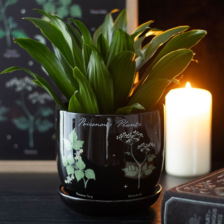 Poisonous plants range