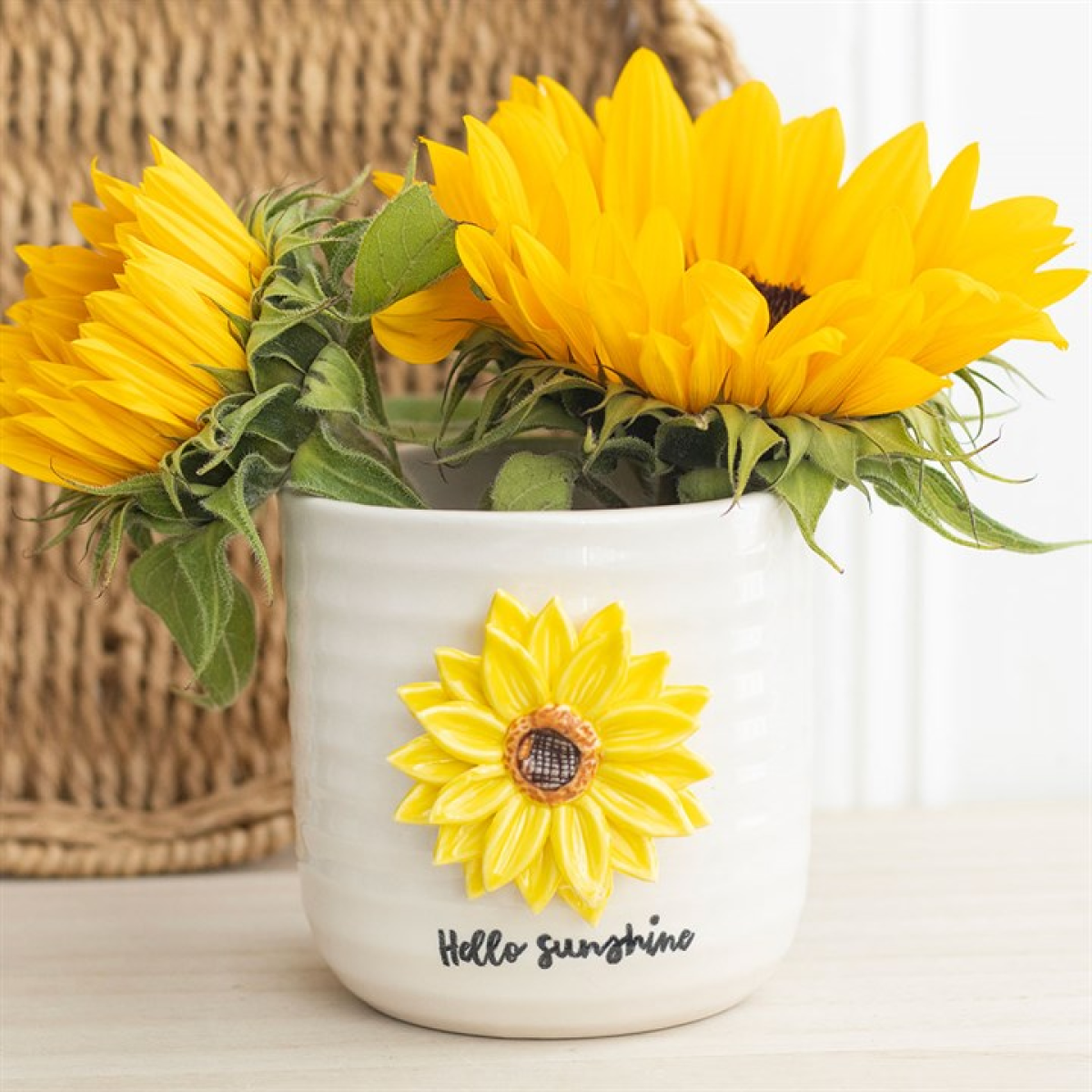 Garden, plant pots and accessories