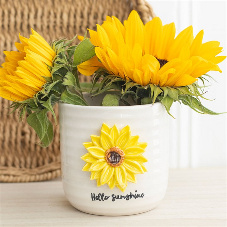 Garden, plant pots and accessories