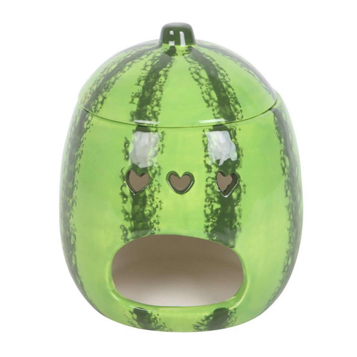 Watermelon Oil Burner and Wax Warmer