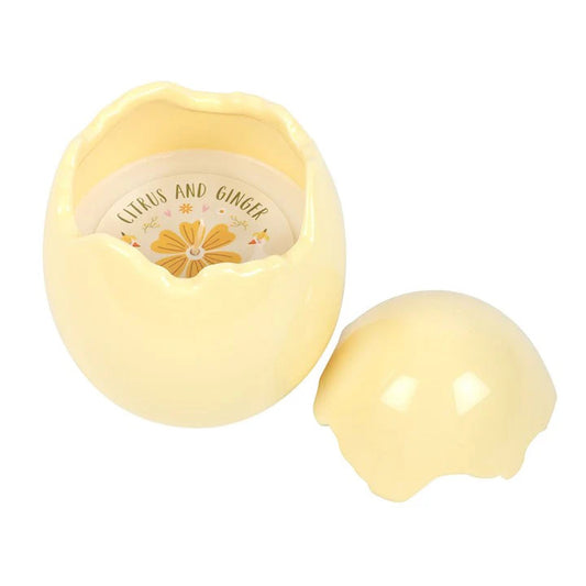 Citrus & Ginger Egg Shaped Candle