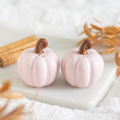 Pink Curly Pumpkin Salt and Pepper Shakers