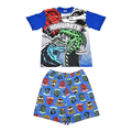 Harry Potter Mascots Older Boys' Pyjamas 12-13 years