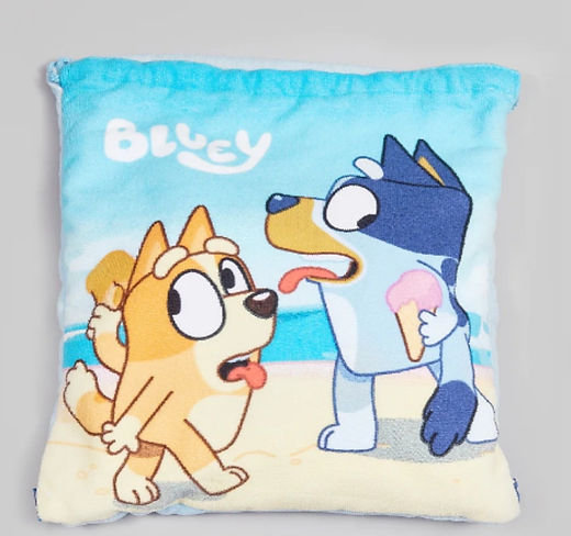 Bluey fold out towel bag