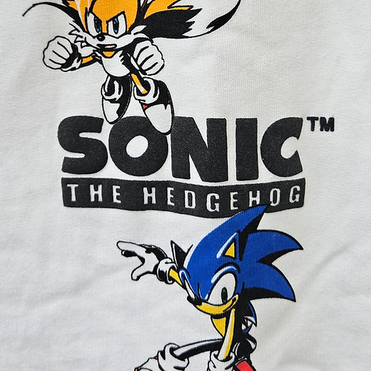 Sonic the Hedgehog boys hoodie