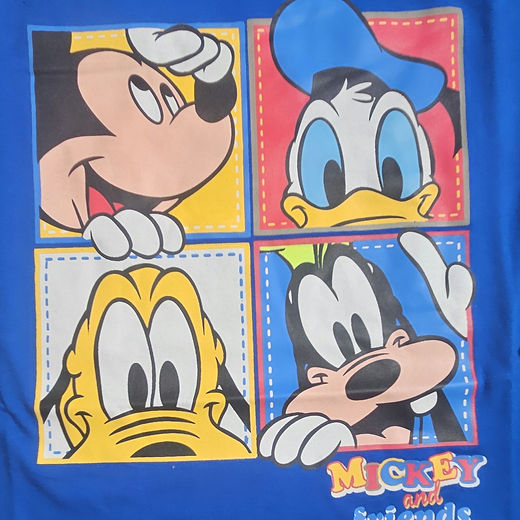 Disney Mickey and friends tshirt long sleeve top 2-10 years